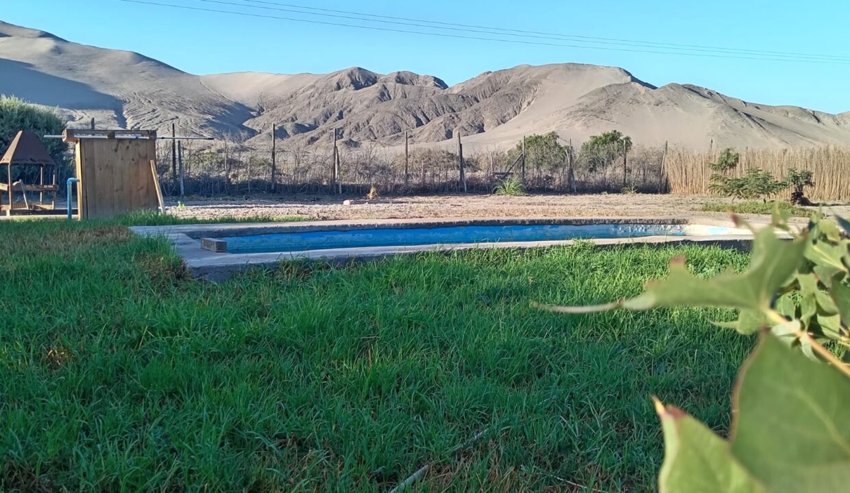 WhatsApp Image 2026-04-01 at 7.13.54 PM (1)