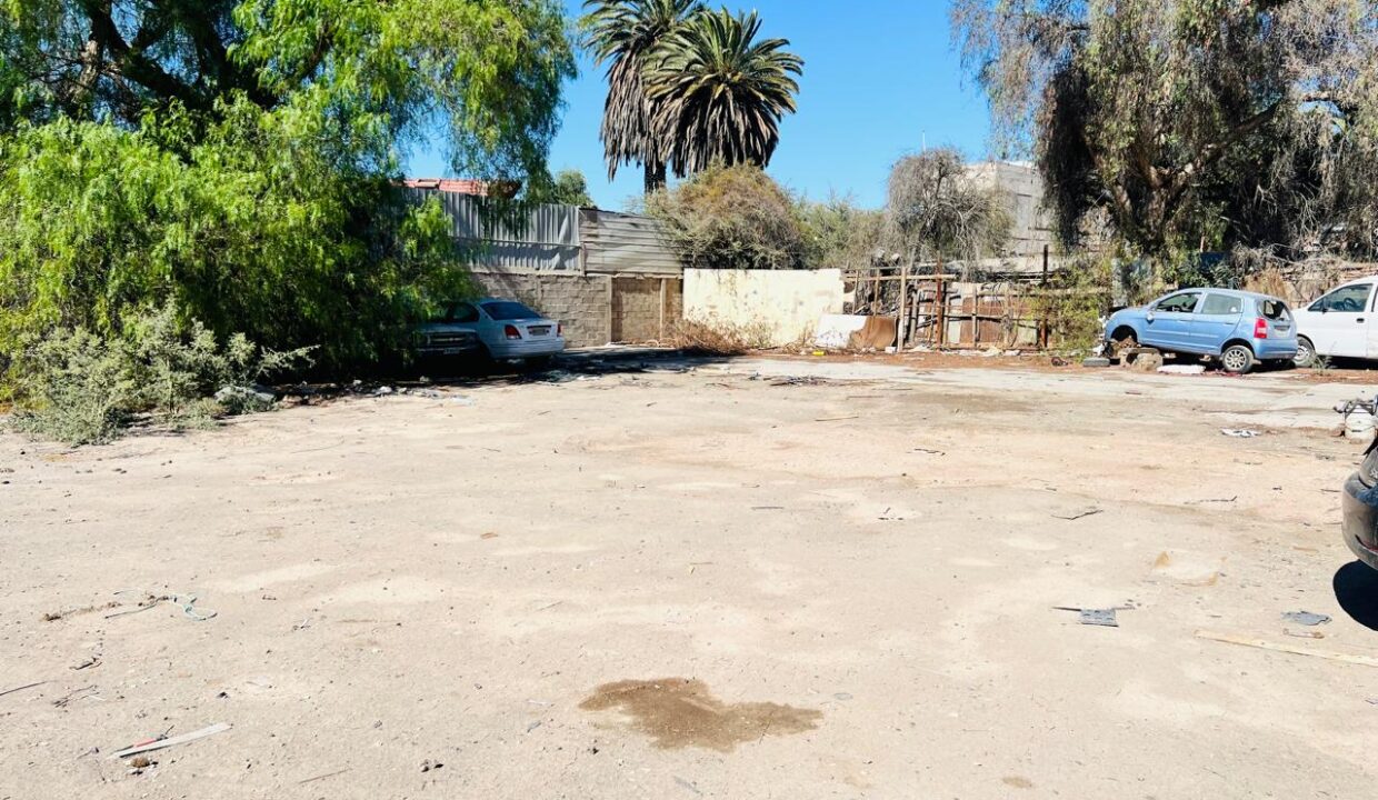 talca8