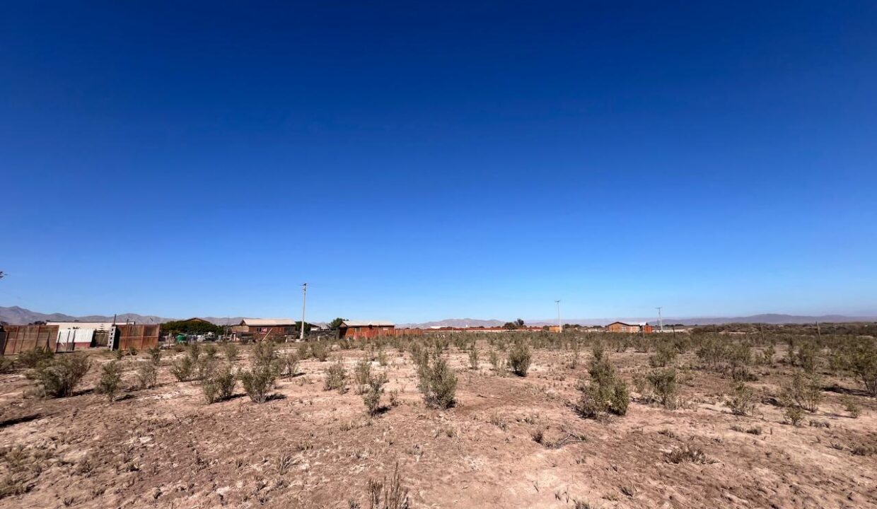 IMG-20240903-WA0193