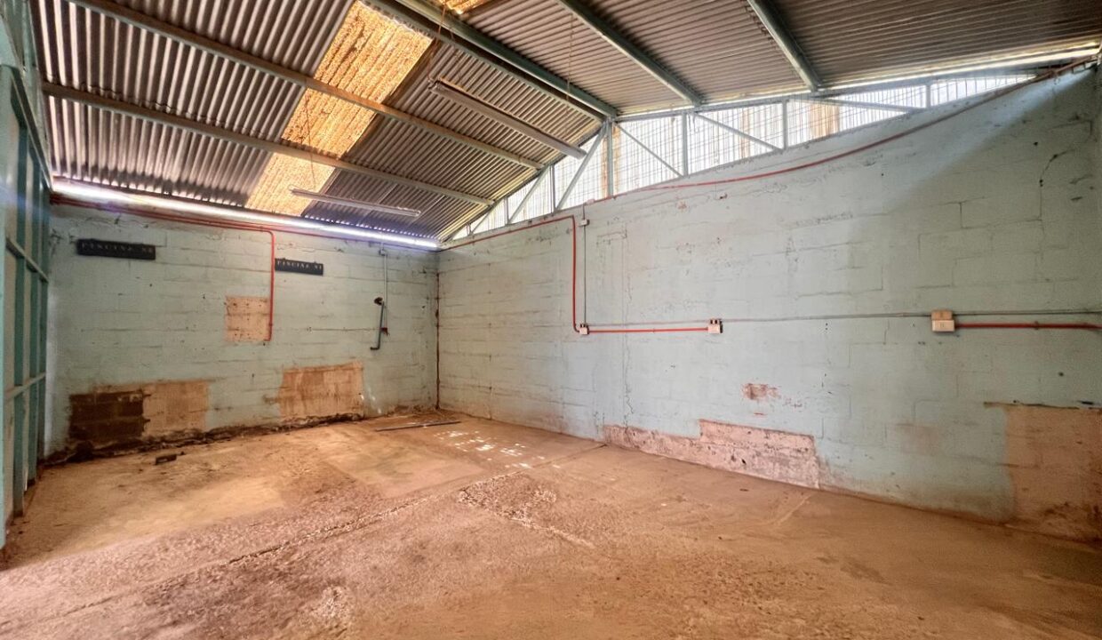 WhatsApp Image 2026-04-15 at 1.27.12 PM (8)